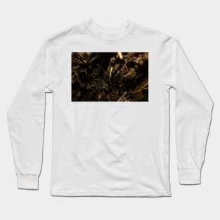 Rotting Wood Long Sleeve T-Shirt